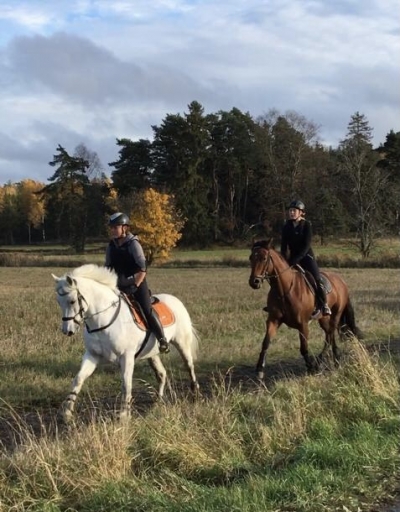 Några få platser kvar till höstens utbildningar