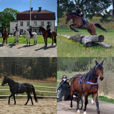 Välkommen till Berga på Rid- eller Travläger 16-18 juni 🙂