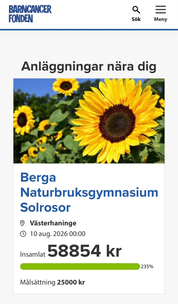 Hela 58 854 kr till Barncancerfonden!